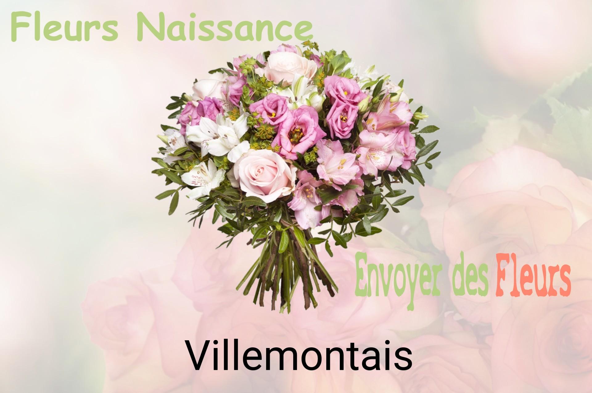 Bouquet de fleurs de naissance livré à Villemontais